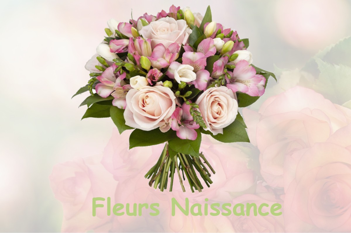 fleurs naissance BILIEU