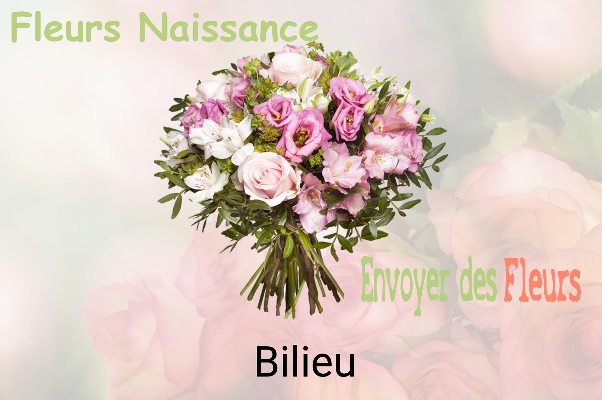 Bouquet de fleurs de naissance livré à Bilieu