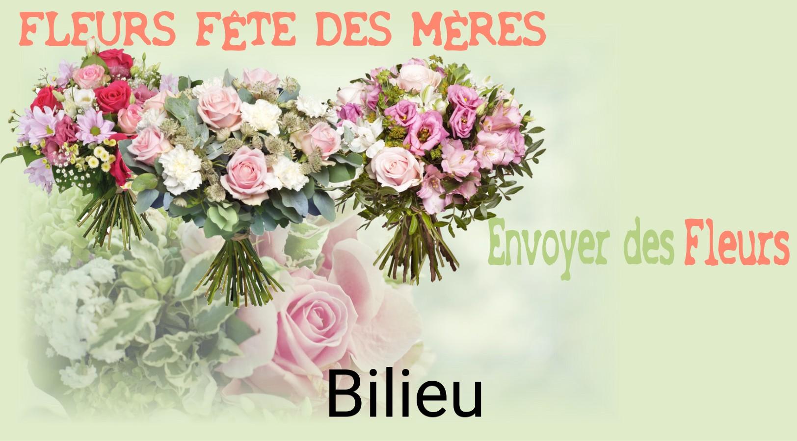 Bouquet de Fête des Mères livré à Bilieu
