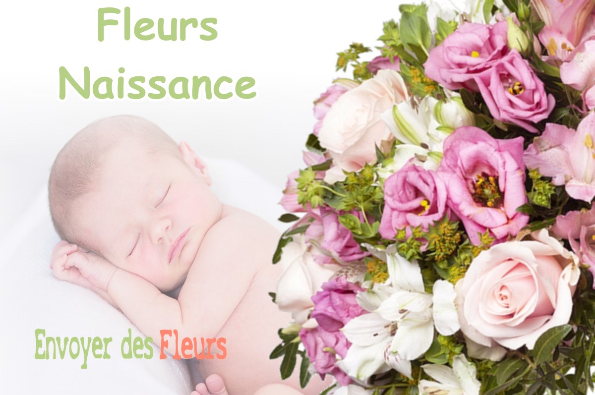 lIVRAISON FLEURS NAISSANCE à BILIEU