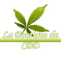 LA BOUTIQUE DU CBD BILIEU 